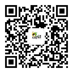 qrcode_for_gh_579be3cffd9f_258.jpg